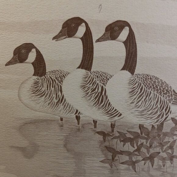Vintage American Waterfowl Etching/Print Lynn Forehand 3 of 5 Cottagecor… - Picture 4 of 7